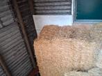 Stro te Koop, Dieren en Toebehoren, Ophalen of Verzenden