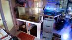 Peninsula aquarium 700 liter 165 cm, Dieren en Toebehoren, Vissen | Aquaria en Toebehoren, Ophalen, Leeg aquarium