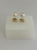 Parel Oorbellen witte Akoya Parels 6mm 14K Goud, Minimalisch, Wit, Nieuw, Ophalen of Verzenden, Knopjes of Stekers