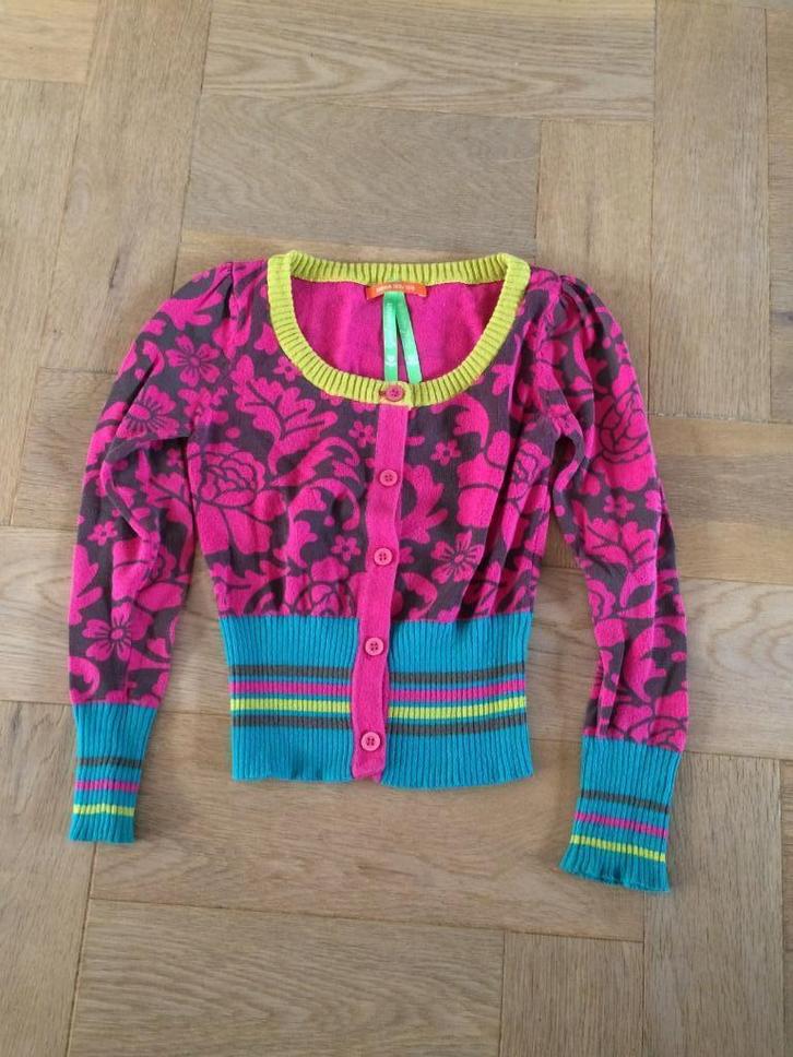 Leuk zgan kleurig vest van de Hema 122/128, Kinderen en Baby's, Kinderkleding | Maat 122, Zo goed als nieuw, Meisje, Trui of Vest