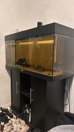 aquarium 1 meter met onderkast, Ophalen, Gebruikt, Leeg aquarium