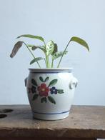 vintage grijsblauw bloem-, cactuspotje met bloem VEB Germany, Tuin en Terras, Ophalen of Verzenden