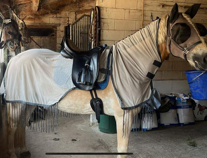 Riding World Vliegenuitrijdeken Mesh Grijs 185 6.0 deken, Dieren en Toebehoren, Paarden en Pony's | Dekens en Dekjes, Zo goed als nieuw
