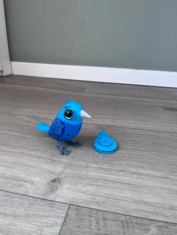 Digibird beschikbaar voor biedingen