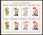 Guyana 1996 pf mi 5534 - 5537 kleinbogen  paddestoelen, Verzenden, Postfris, Dier of Natuur