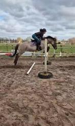 Verzorgster aangeboden, Dieren en Toebehoren, Paarden en Pony's | Overige Paardenspullen, Ophalen of Verzenden, Zo goed als nieuw