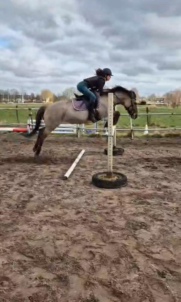 Verzorgster aangeboden, Dieren en Toebehoren, Paarden en Pony's | Overige Paardenspullen, Zo goed als nieuw, Recreatie, Ophalen of Verzenden