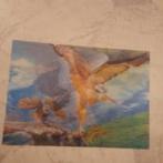 3 D Poster Havik, Gebruikt, Rechthoekig Liggend, Ophalen of Verzenden, A1 t/m A3