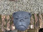 Engelse Bulldog kop, Tuin en Terras, Ophalen, Nieuw, Beton, Dierenbeeld