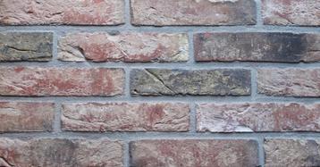 art 4405A Oud Hollands Bont waalformaat gevelstenen beschikbaar voor biedingen