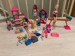 Barbie Set: Poppen, Accessoires & Huisdieren, Kinderen en Baby's, Speelgoed | Poppen, Ophalen of Verzenden, Gebruikt, Barbie