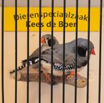 Koppel zwartwang zebravinken, Dieren en Toebehoren, Meerdere dieren, Geringd