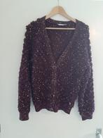 Studio Anneloes Iris chunky glitter vest aubergine maat S, Kleding | Dames, Truien en Vesten, Studio Anneloes, Paars, Ophalen of Verzenden