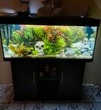 Juwel rio 240 liter, Ophalen, Leeg aquarium