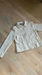 Vestjasje van Giulia e tu mast 38, Kleding | Dames, Ophalen of Verzenden, Zo goed als nieuw, Maat 38/40 (M)
