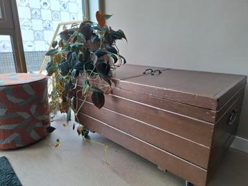Bronskleurige houten kist/bijzettafel beschikbaar voor biedingen