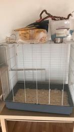 Grote rattenkooi, Dieren en Toebehoren, Ophalen, Zo goed als nieuw, Metaal, Vogelkooi