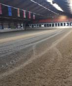 Bakverhuur – Manege de Dollard in Winschoten, Ophalen, Nieuw