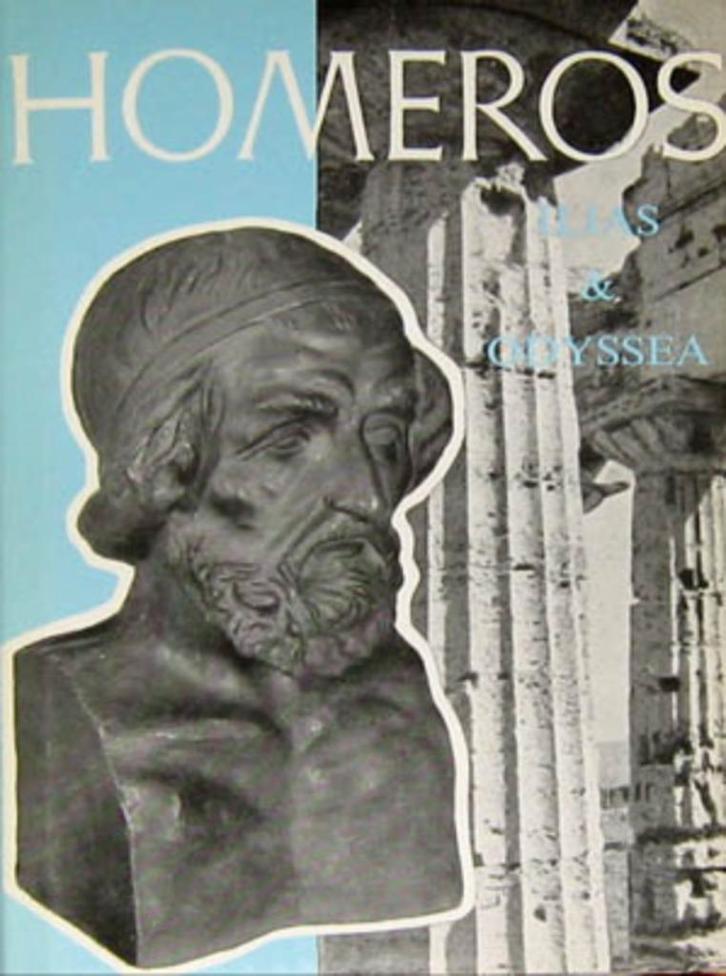 Homeros Ilias & Odyssea (tekstgetrouwe weergave), Boeken, Literatuur, Zo goed als nieuw, Ophalen of Verzenden