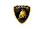 Lamborghini Audi Seat VW Skoda Coding Online Sleutels, Diensten en Vakmensen, Verhuur | Auto en Motor, Limousine