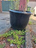 Zwarte plantenbak, Tuin en Terras, Bloembakken en Plantenbakken, Ophalen, Rond, Steen
