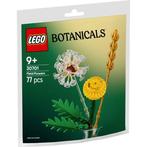 Lego 30701 botanical polybag bloemen *Nieuw*, Kinderen en Baby's, Speelgoed | Duplo en Lego, Ophalen of Verzenden, Nieuw, Complete set
