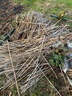 Bamboe stokken 1 meter, Tuin en Terras, Kweekspullen, Ophalen of Verzenden, Overige typen