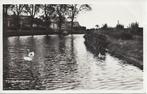 Beetgum (Frl.) Bitgum, Vijver met Zwanen, gelopen 1949, Verzenden, 1940 tot 1960, Gelopen, Friesland