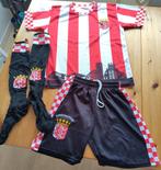 PSV Eindhoven, Verzamelen, Ophalen of Verzenden, Gebruikt, PSV, Shirt