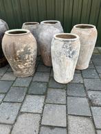 Oude pot potten Olijfpot, Ophalen