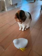 Mechanische vogel, Ophalen, Zo goed als nieuw, Speeltunnel