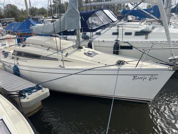 Beneteau First 24 beschikbaar voor biedingen