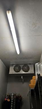 Koelcel te koop, Ophalen, Gebruikt