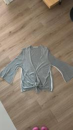 Monari vest maat 44, Kleding | Dames, Truien en Vesten, Monari, Maat 42/44 (L), Nieuw, Ophalen of Verzenden