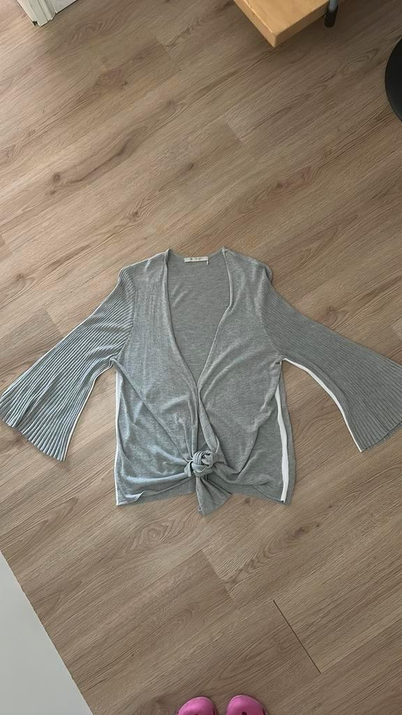 Monari vest maat 44, Kleding | Dames, Truien en Vesten, Nieuw, Maat 42/44 (L), Grijs, Ophalen of Verzenden