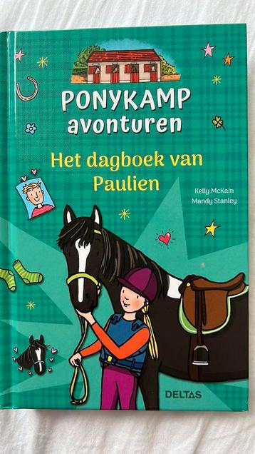 Ponykamp avonturen - het dagboek van Paulien beschikbaar voor biedingen