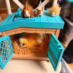 Little Live Pets Mama Surprise Cavia, Ophalen of Verzenden, Gebruikt, Overige typen