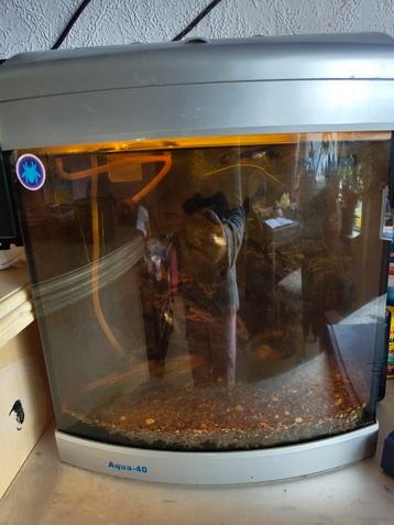 Aquarium  beschikbaar voor biedingen