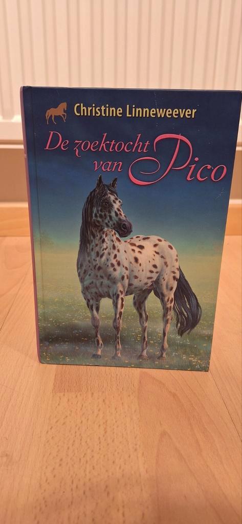Christine Linneweever - De zoektocht van Pico, Boeken, Kinderboeken | Jeugd | 10 tot 12 jaar, Zo goed als nieuw, Ophalen of Verzenden