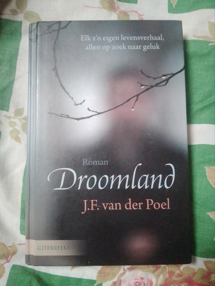 Droomland - J.F. van der Poel, Boeken, Romans, Zo goed als nieuw, Nederland, Ophalen of Verzenden
