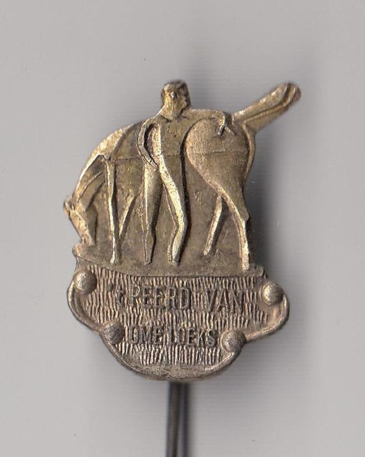 Groningen Peerd van Ome Loeks speldje, Verzamelen, Speldjes, Pins en Buttons, Gebruikt, Speldje of Pin, Overige onderwerpen, Ophalen of Verzenden