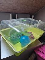 Hamsterkooi, Dieren en Toebehoren, Kooi, Minder dan 75 cm, Zo goed als nieuw, Ophalen