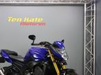 Yamaha FZ 8, Bedrijf, Naked bike
