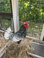 Krielhaan, Dieren en Toebehoren, Pluimvee, Mannelijk, Kip