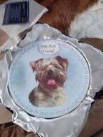 Wandbord, Dieren en Toebehoren, Ophalen, Nieuw