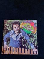 LP:  THEO DIEPENBROCK  -  Oh Darling, Ophalen of Verzenden, Gebruikt, 12 inch, Levenslied of Smartlap