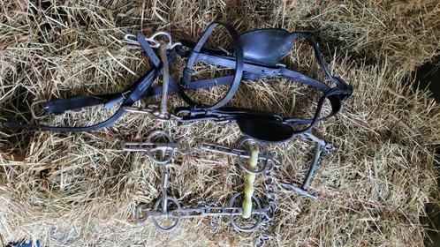 Menhoofdstel met 4 menbitten, Dieren en Toebehoren, Paarden en Pony's | Hoofdstellen en Tuigage, Gebruikt, Overige soorten, Ophalen of Verzenden