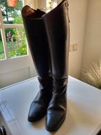 Petrie rijlaarzen mt 38, Ophalen of Verzenden, Zo goed als nieuw, Dressuur, Schoeisel