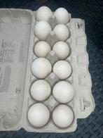 Eenden eieren voor consumptie, Dieren en Toebehoren, Pluimvee | Toebehoren, Ophalen of Verzenden, Nieuw, Overige typen