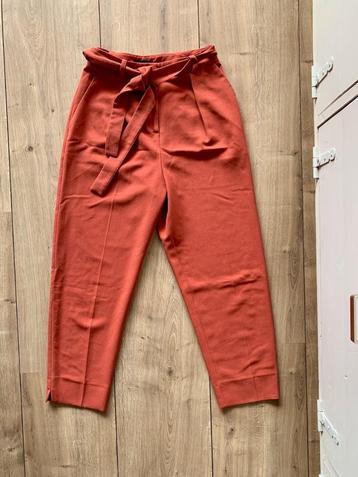 Z.g.a.n. Bruin oranje chino / taille broek, Topshop, maat XS beschikbaar voor biedingen